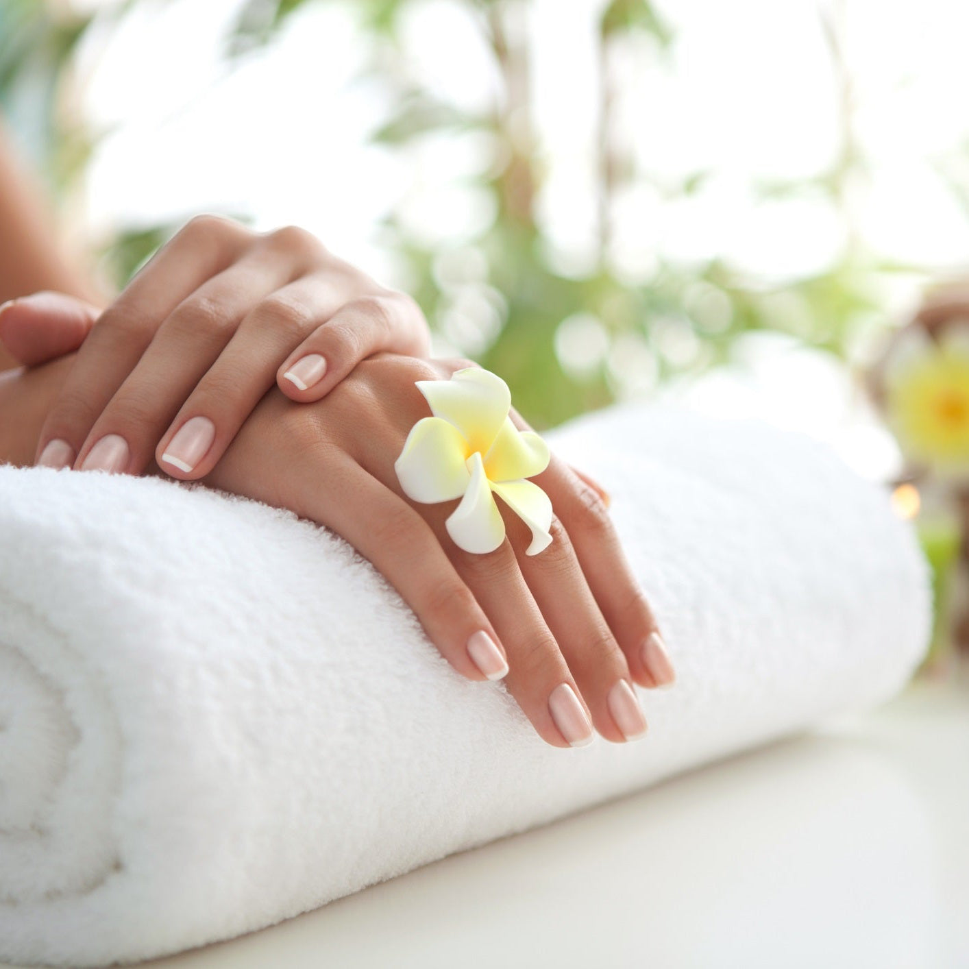 Dry Manicure + SPA